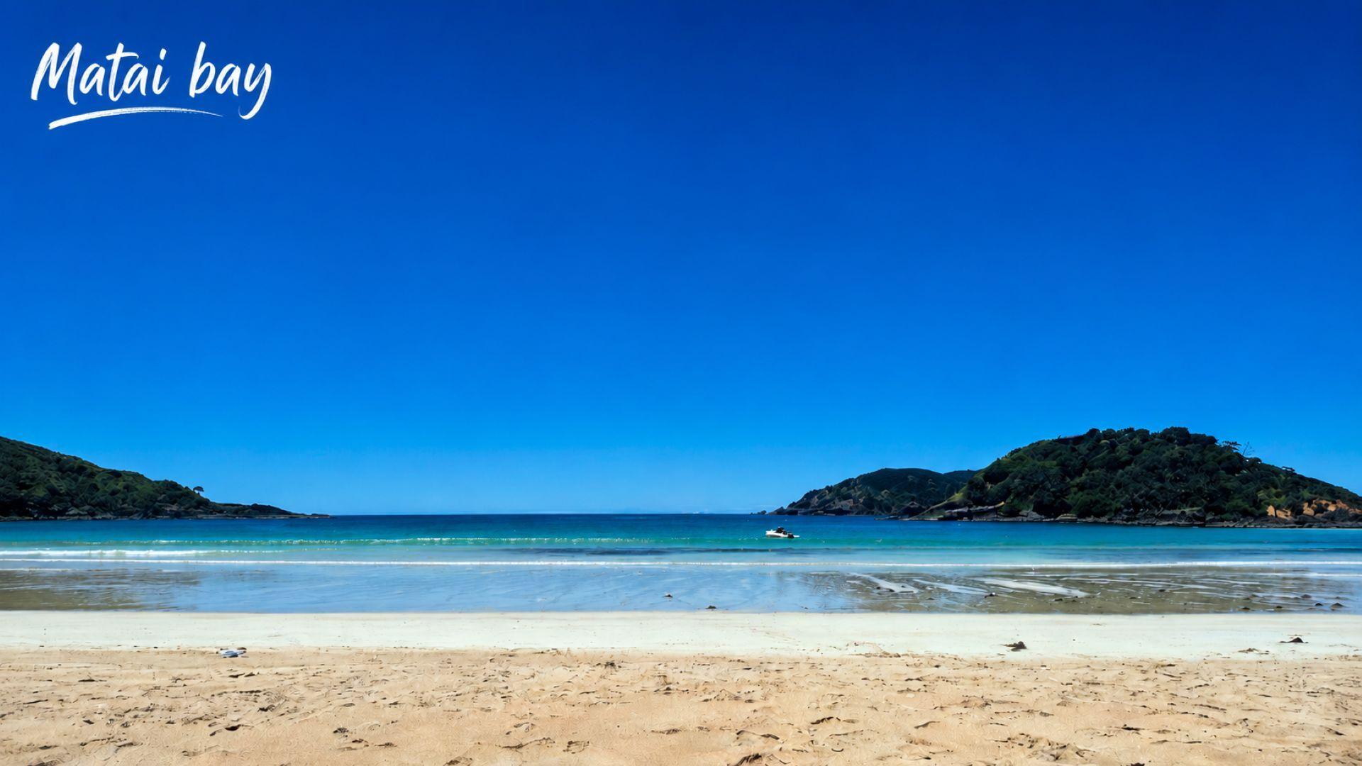 Area photo - Matai Bay