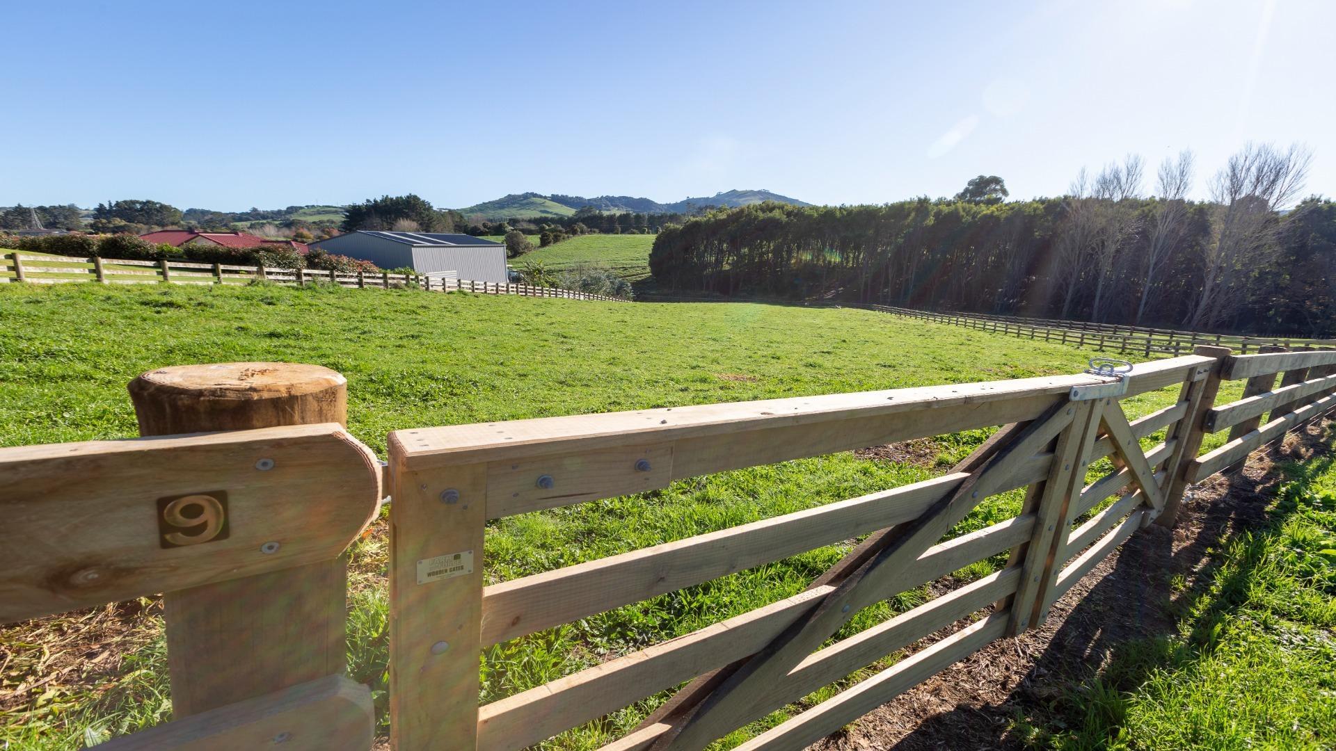 Image 1 (Gallery Image)