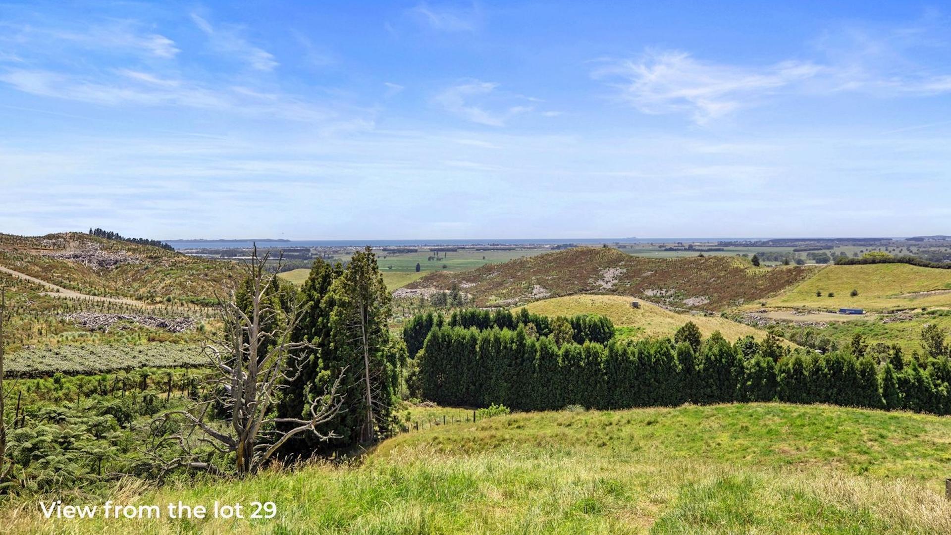 Image 1 (Gallery Image)