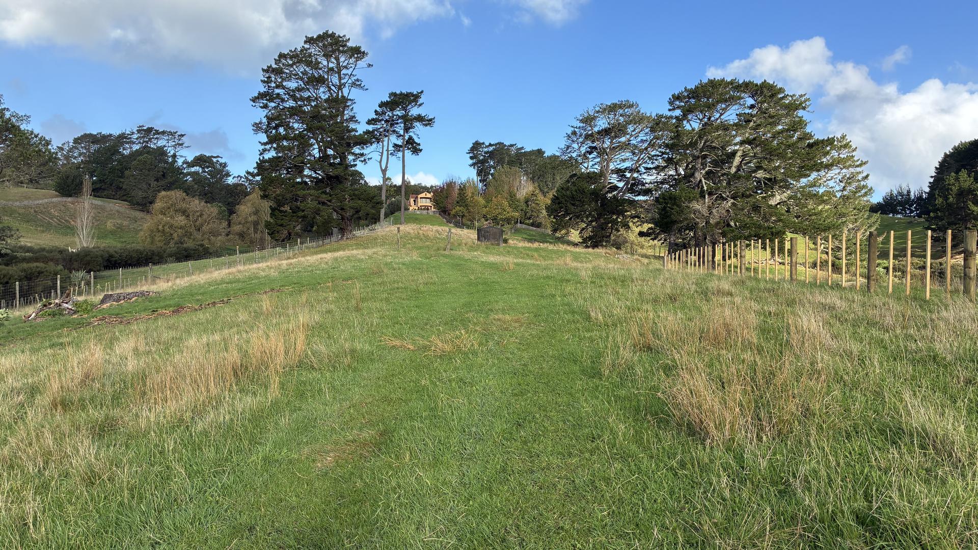 Image 1 (Gallery Image)