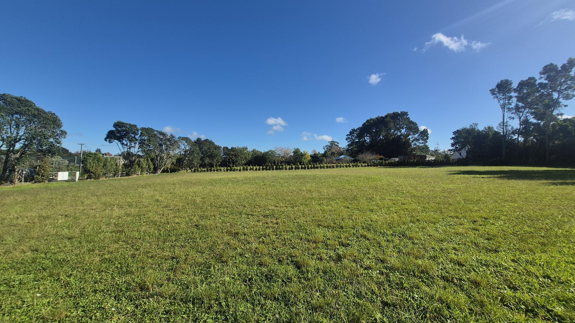 Image 1 (Gallery Image)