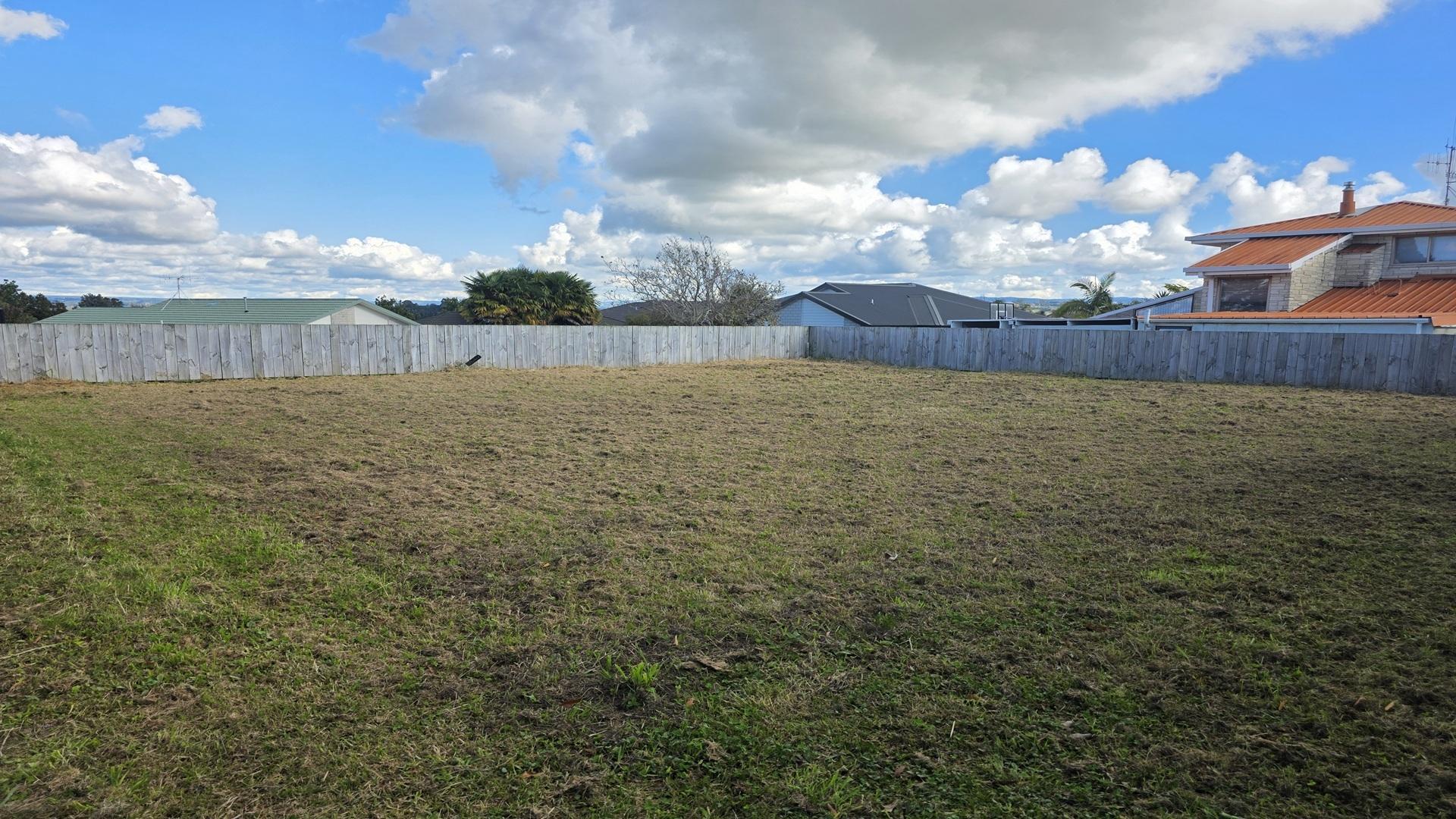 Image 1 (Gallery Image)