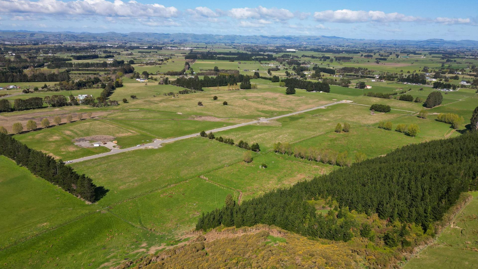 Image 1 (Gallery Image)