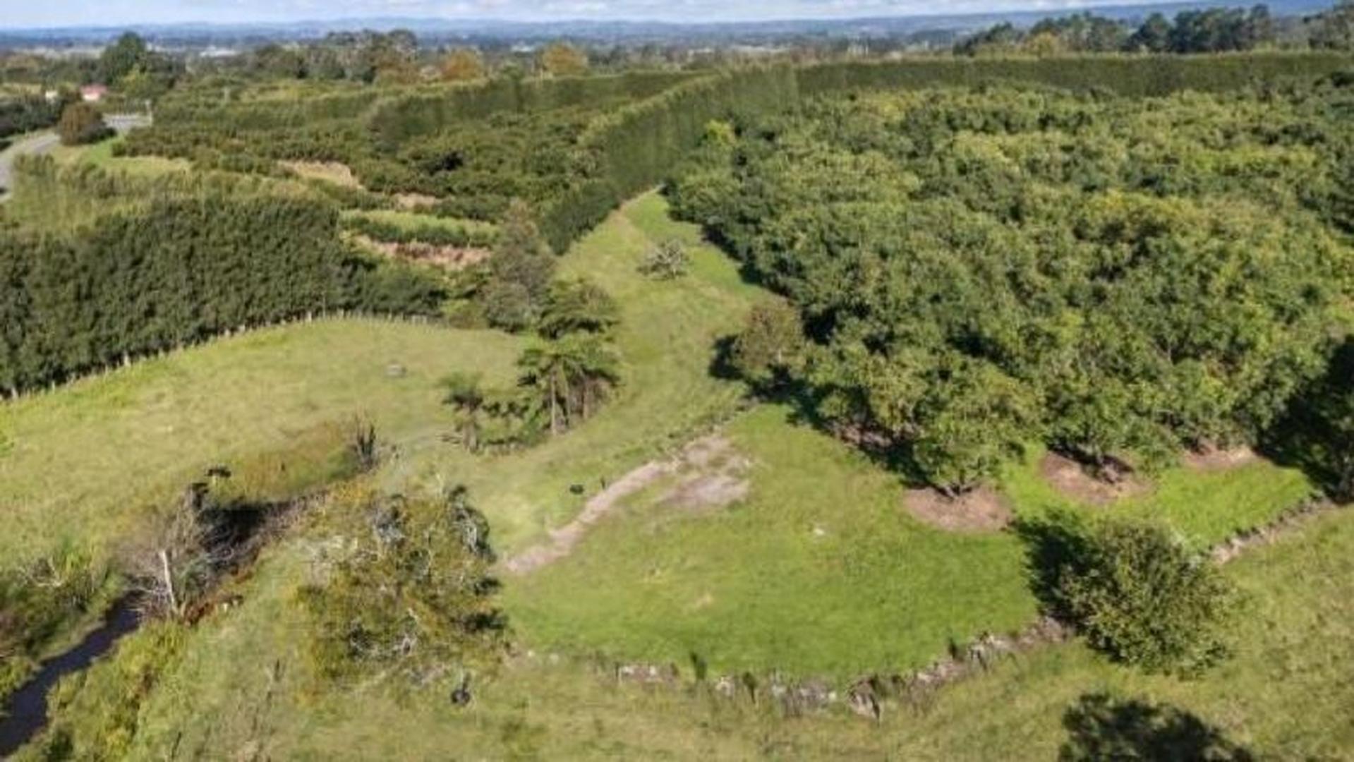 Site image 1-54719029807