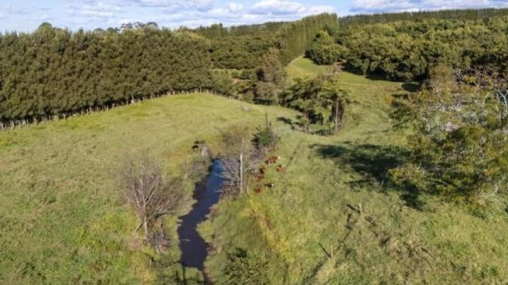 Site image 2-54719029807