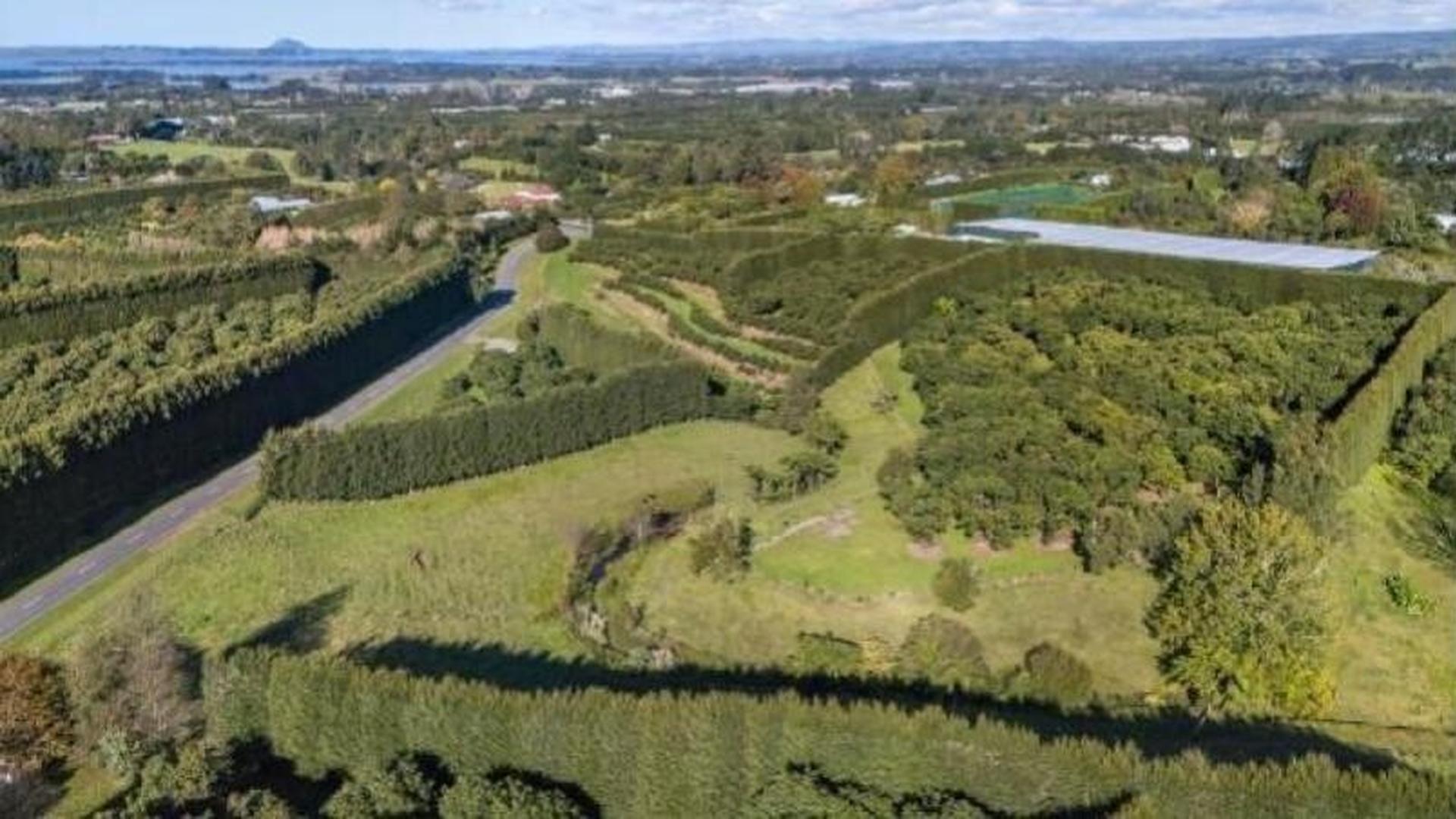 Site image 3-54719029807