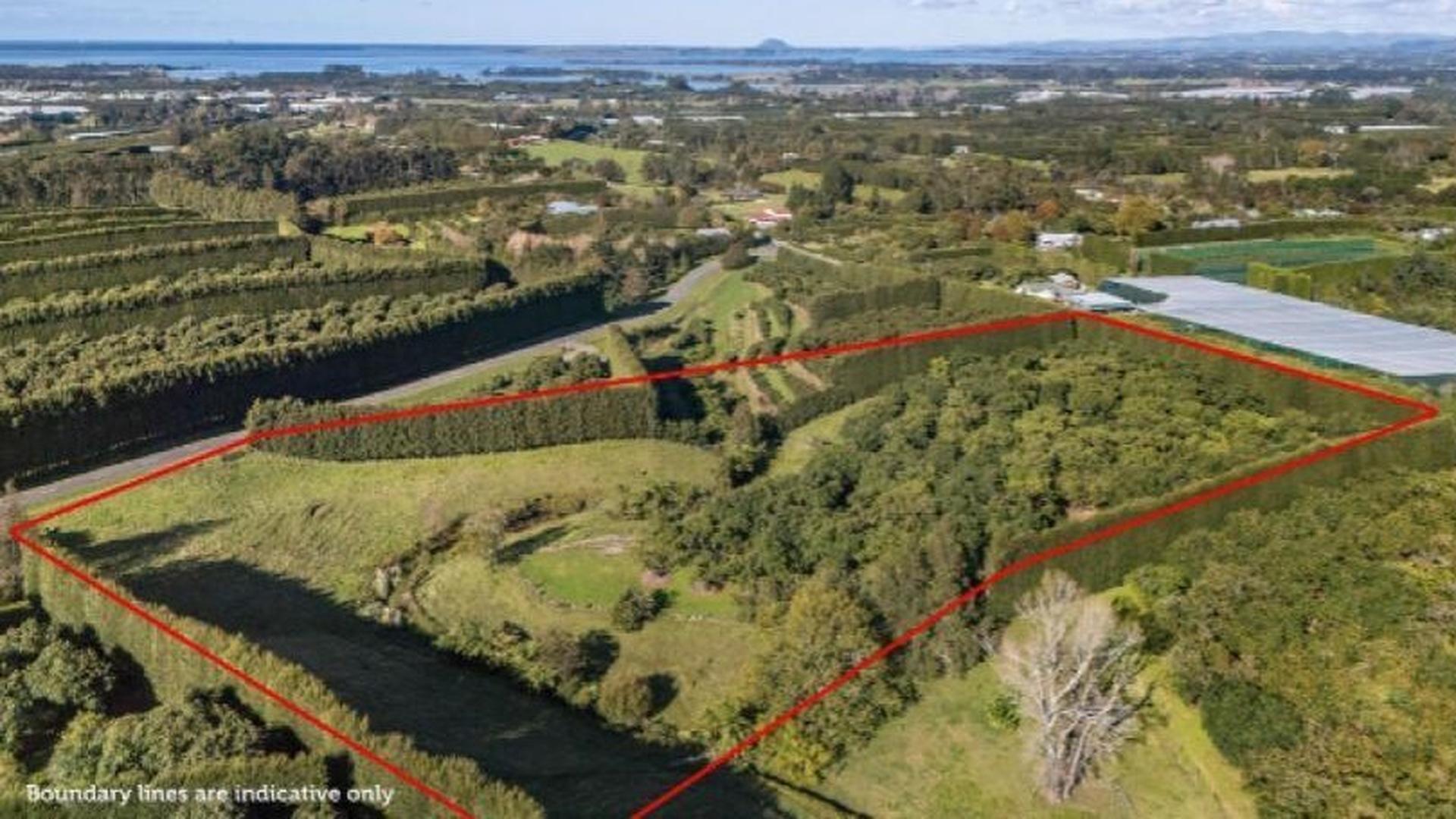 Site image 4-54719029807