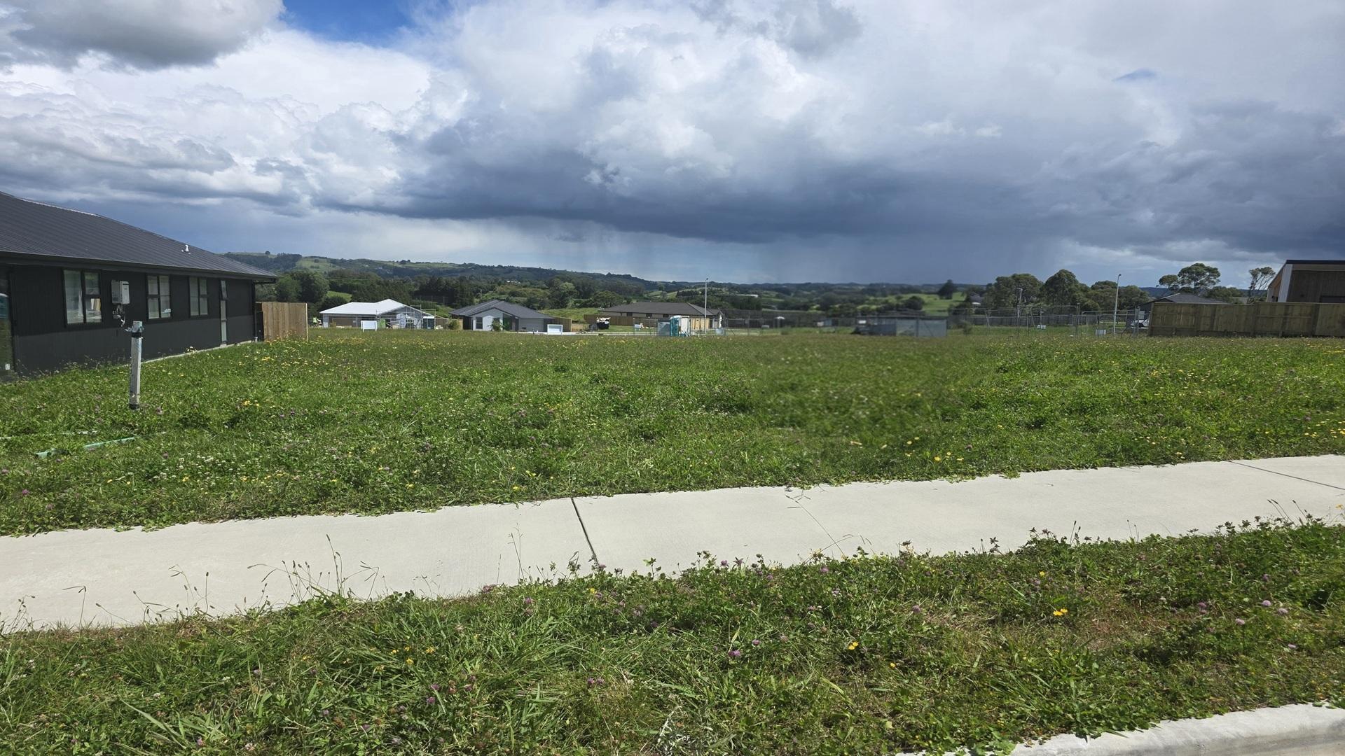 Image 1 (Gallery Image)