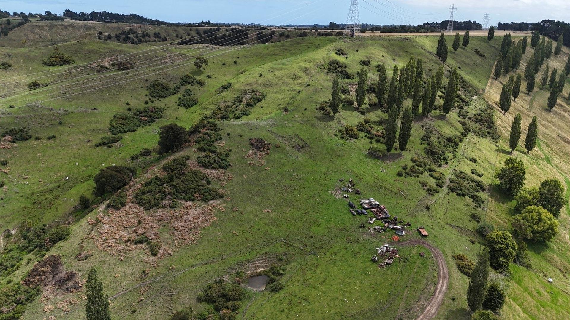 Image 1 (Gallery Image)