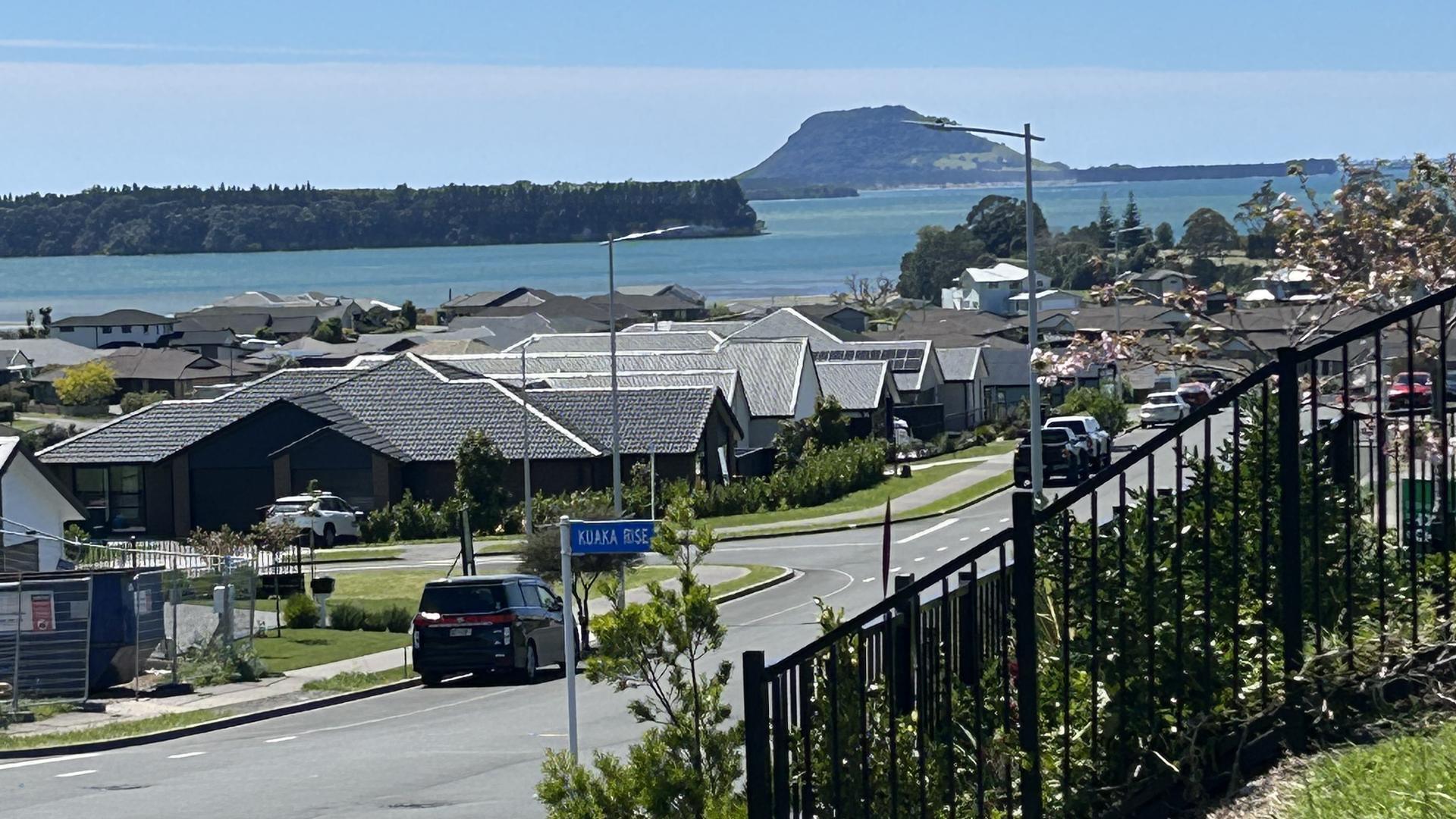 Image 1 (Gallery Image)