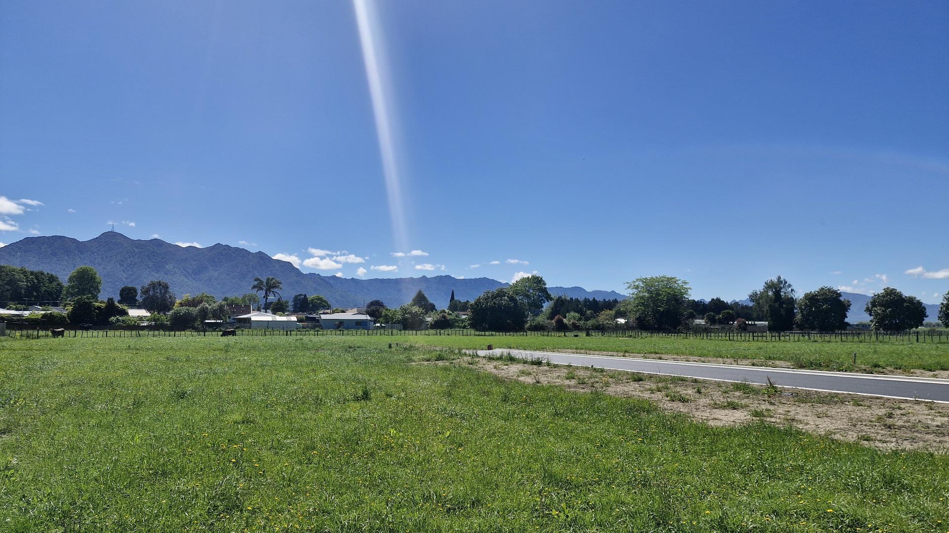 Image 1 (Gallery Image)