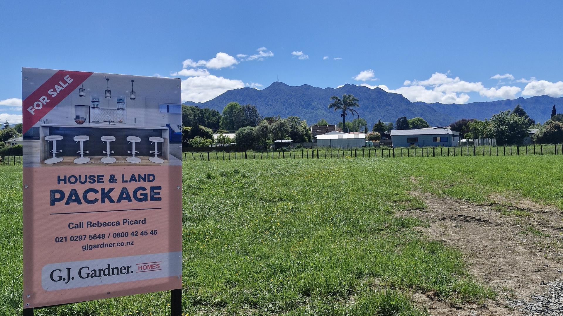 Image 1 (Gallery Image)