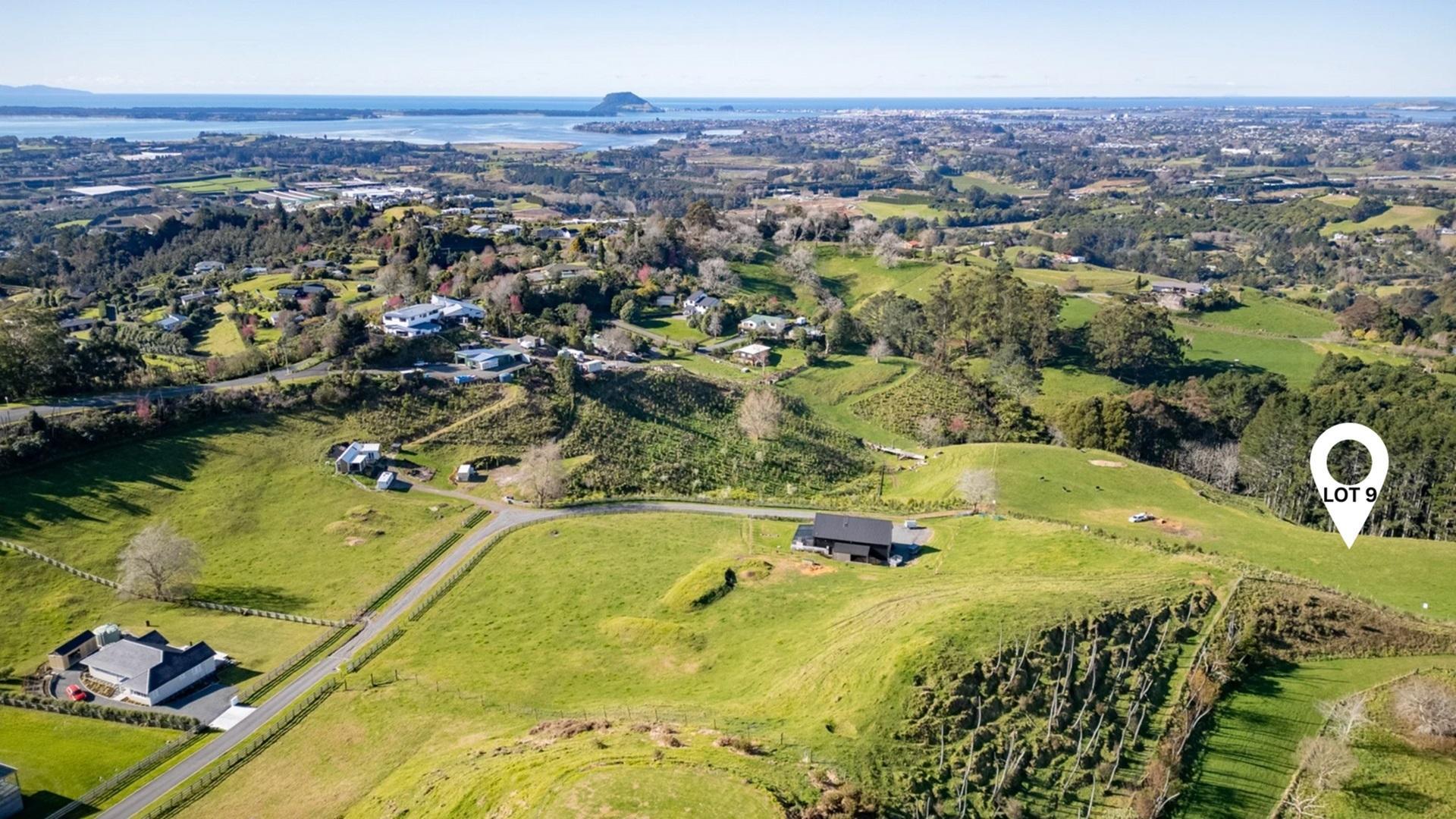 Image 1 (Gallery Image)