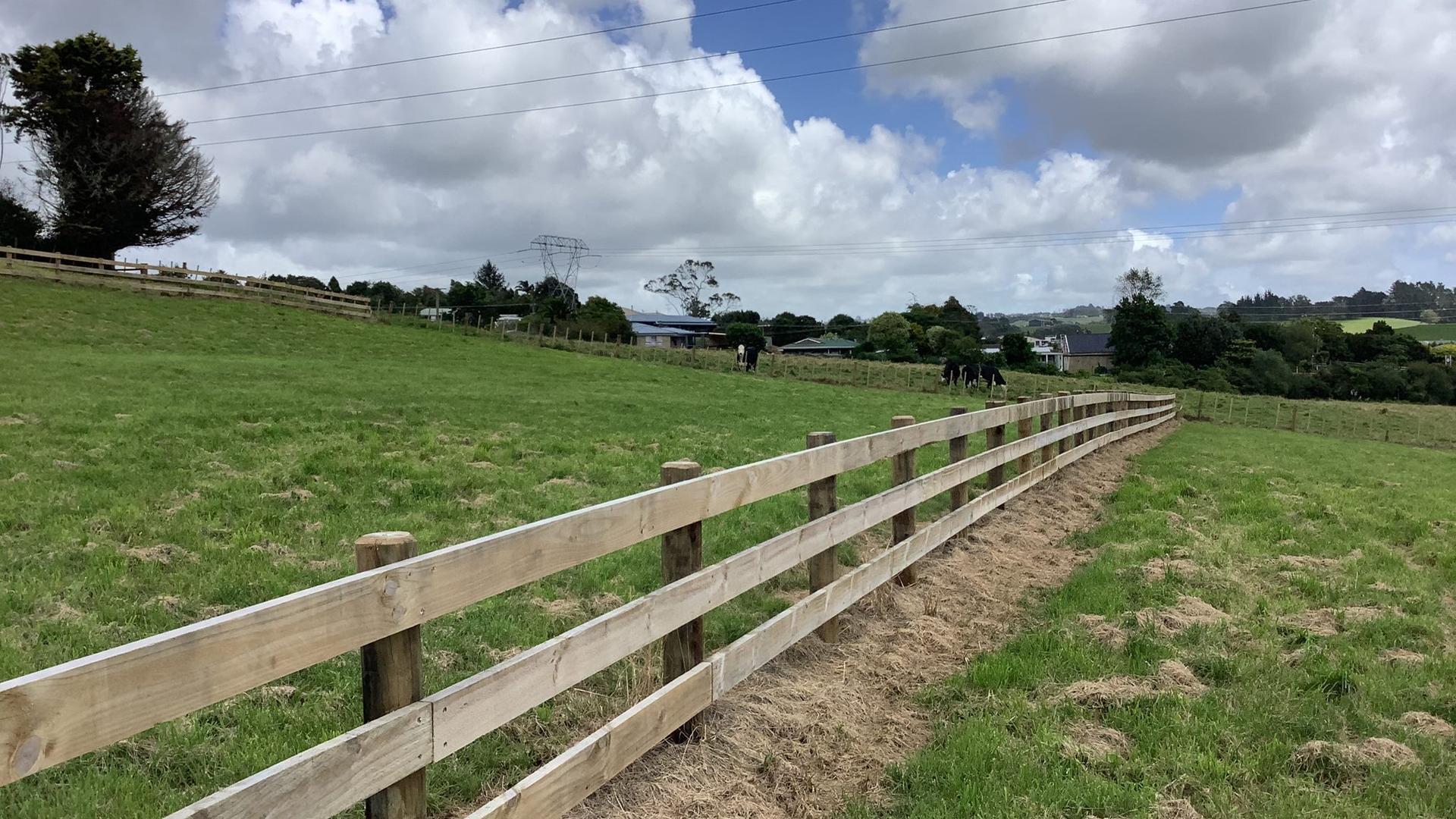 Image 1 (Gallery Image)