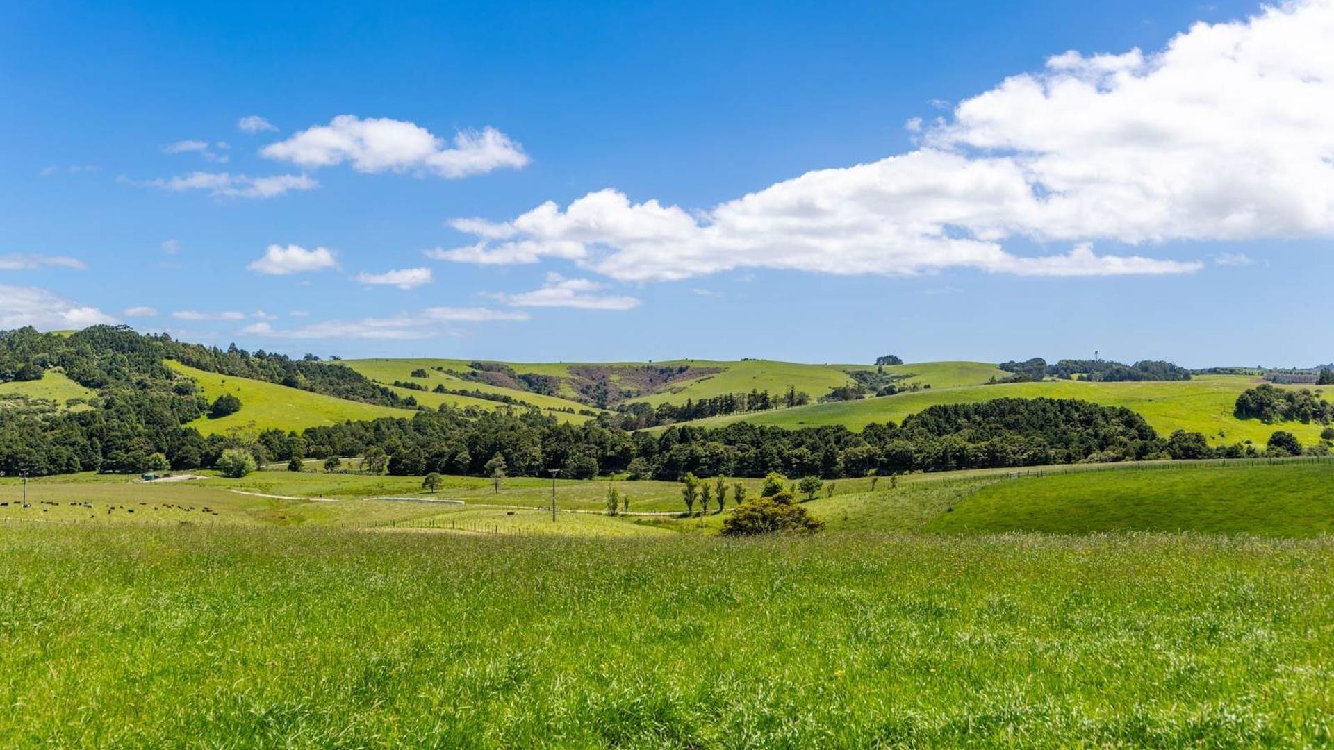 Image 2 (Gallery Image) | Change Request