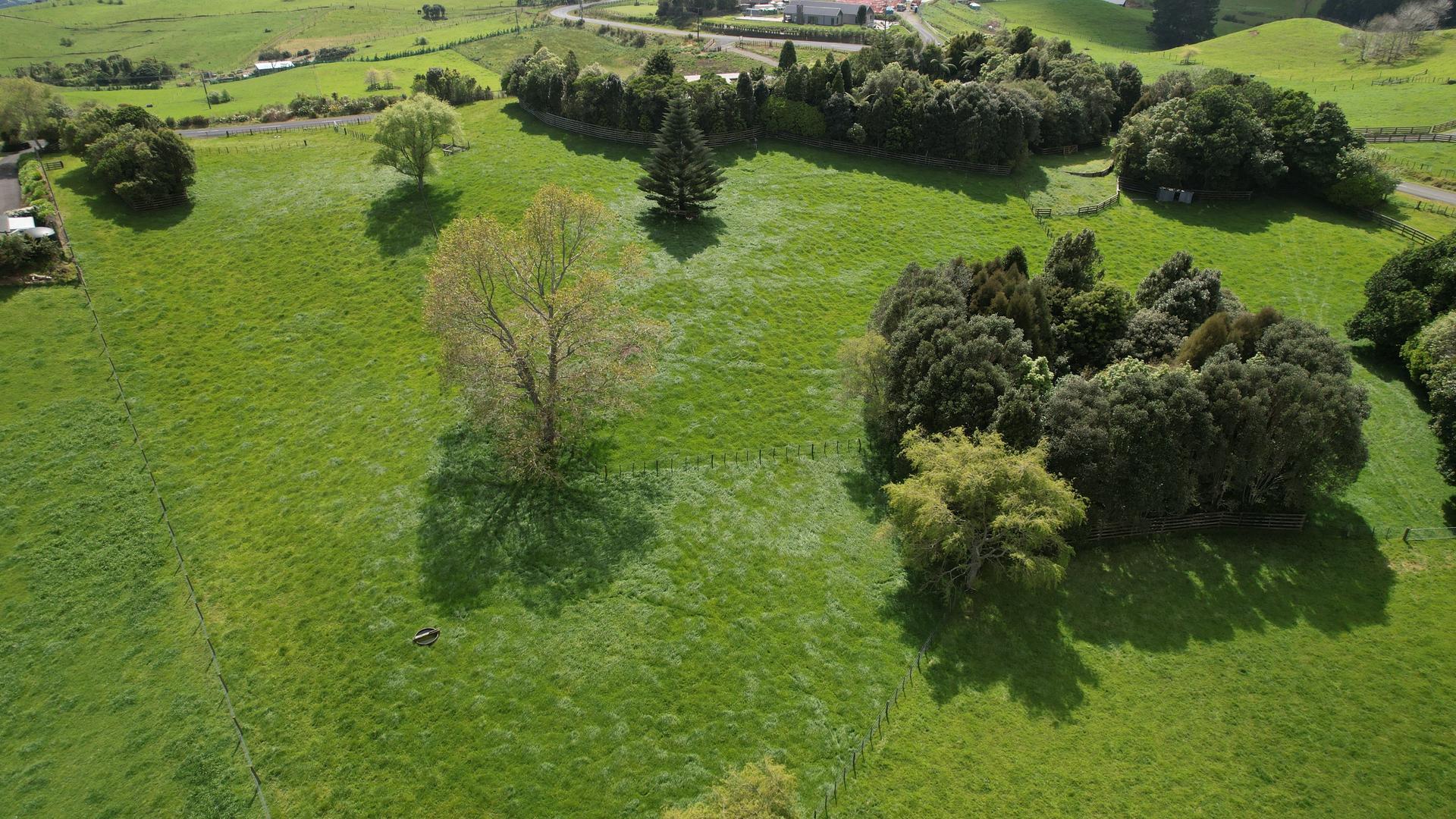 Waiata Road Lifestyle 2