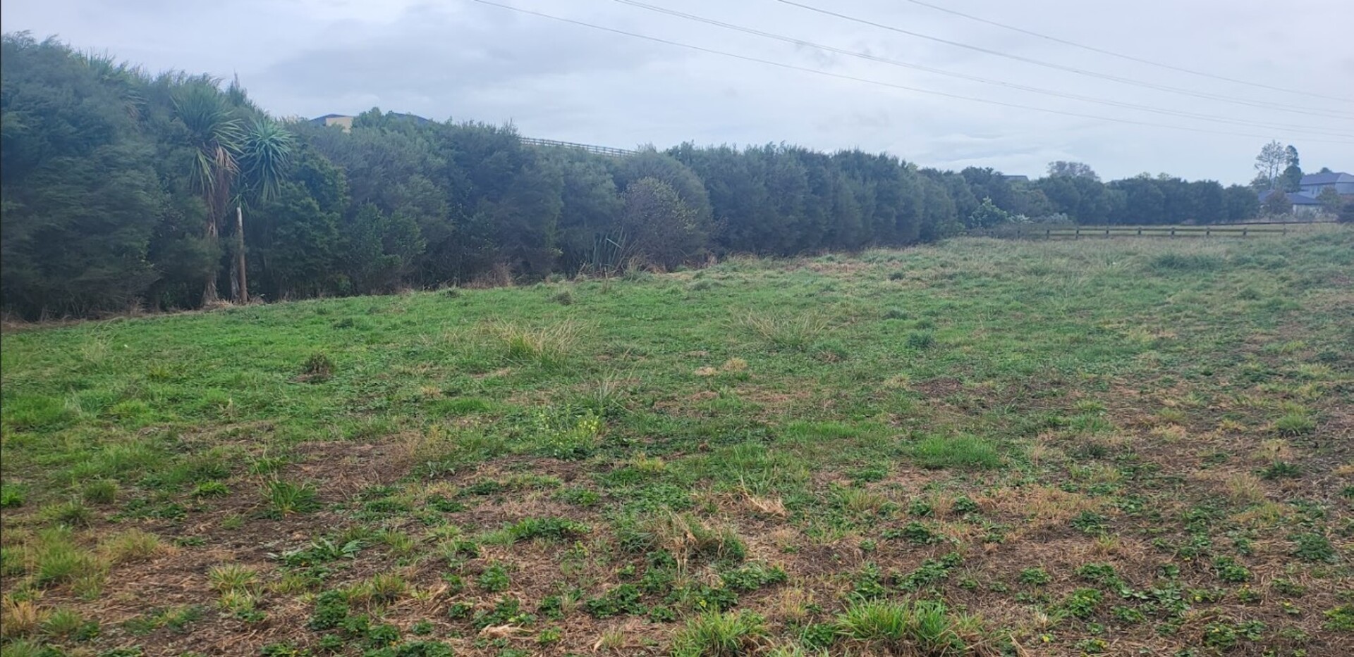Image 8 Image 8