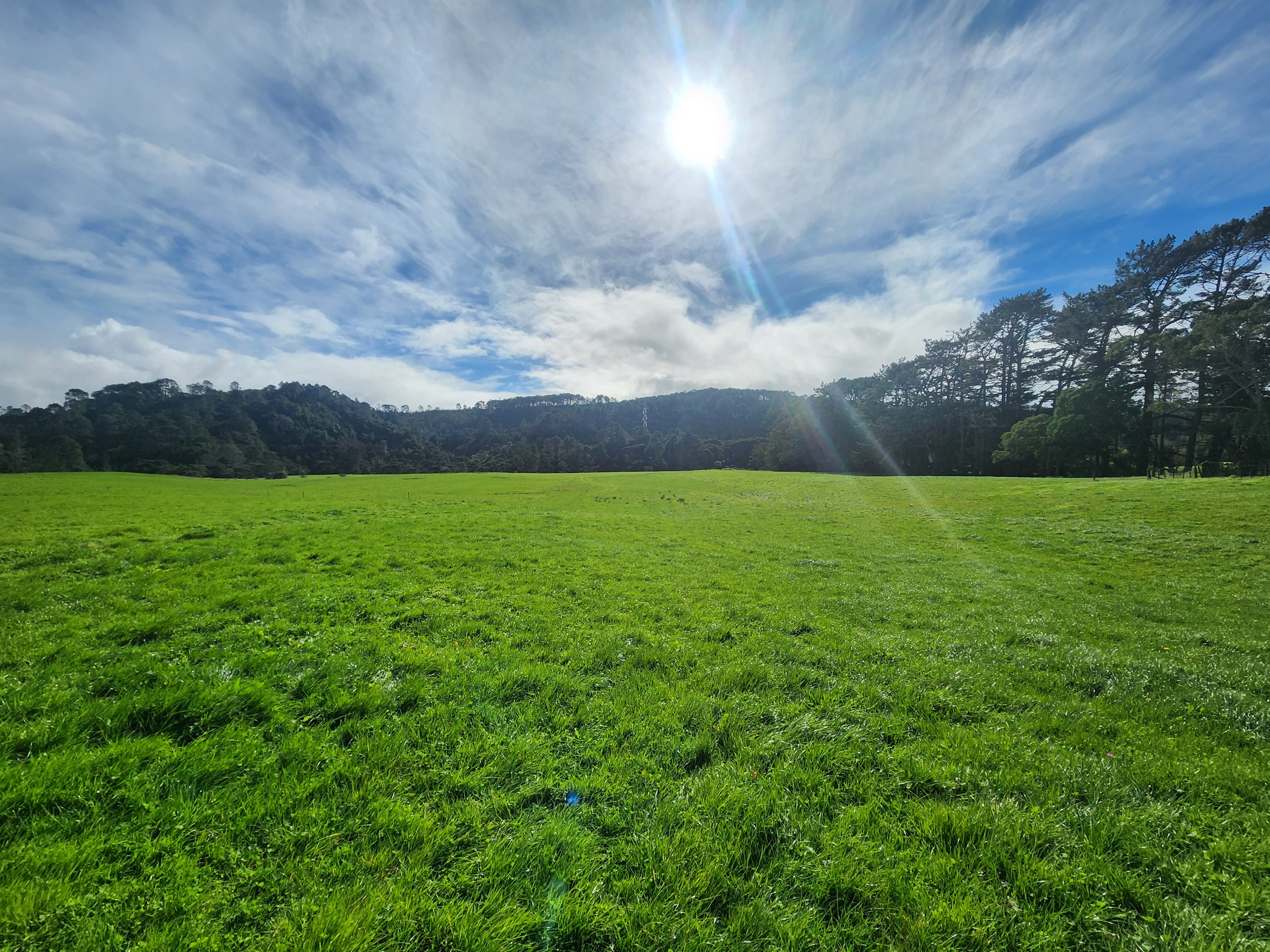 Site