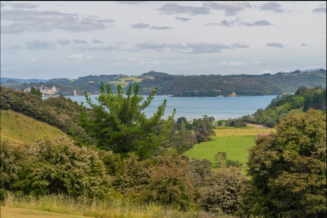 Image 1 (Gallery Image)