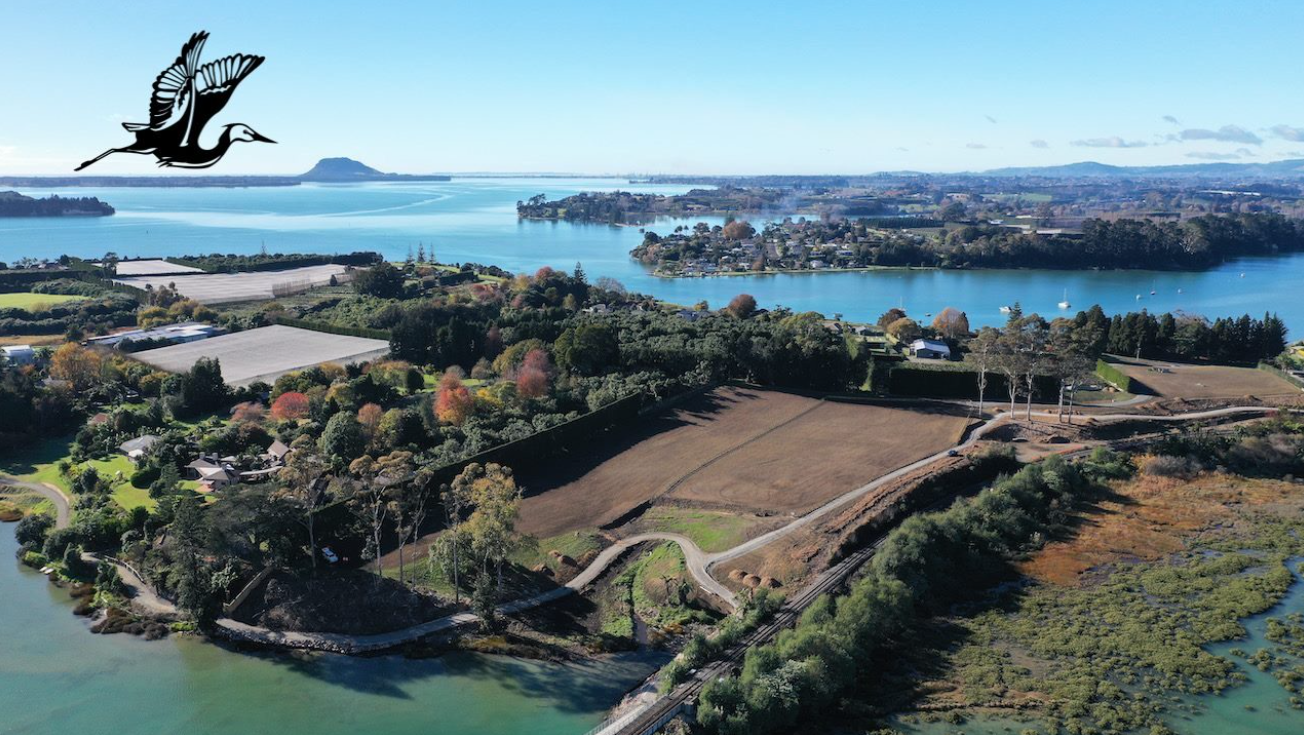 Plummers Point Road 3