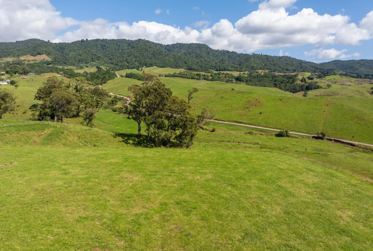 Image 1 (Gallery Image)