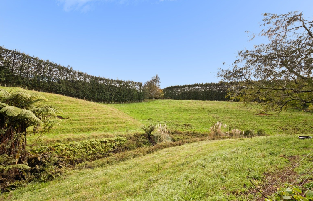 Image 1 (Gallery Image)