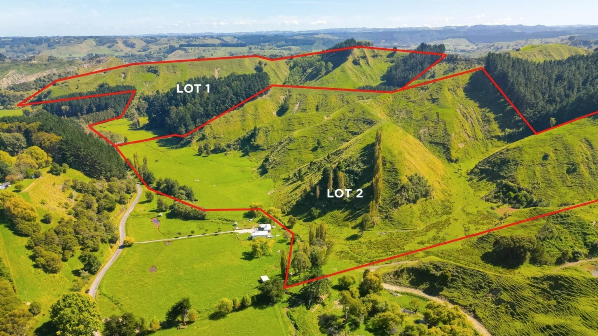 Image 1 (Gallery Image)
