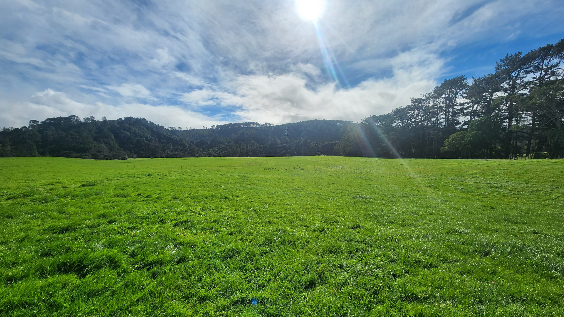 Site