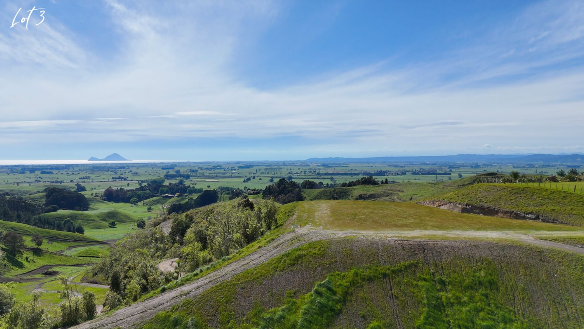 Timber Tops View