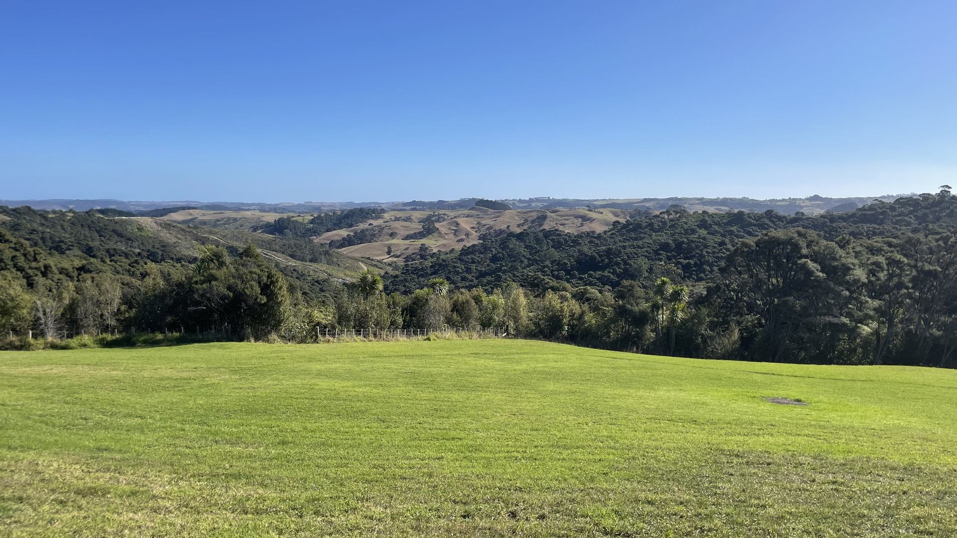 View View